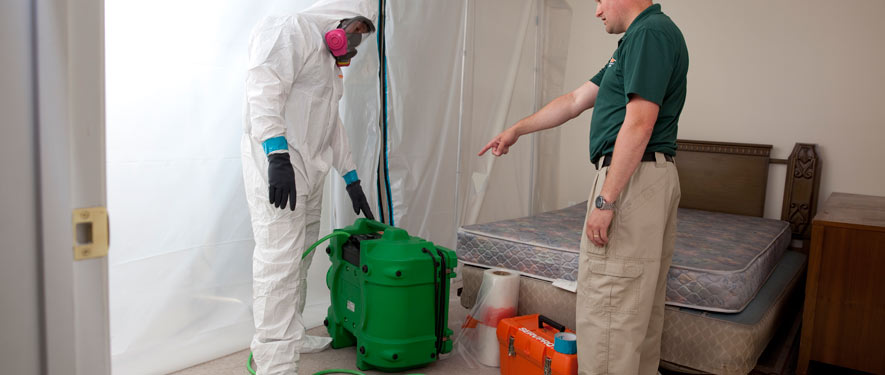 Westminster, MD mold removal process